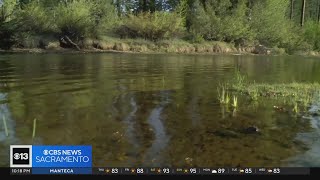 Despite wet winter some parts of Truckee River seeing low levels