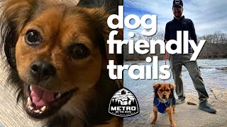 Dog Friendly Hiking Trails In Atlanta Part 2 Island Ford Chattahoochee River