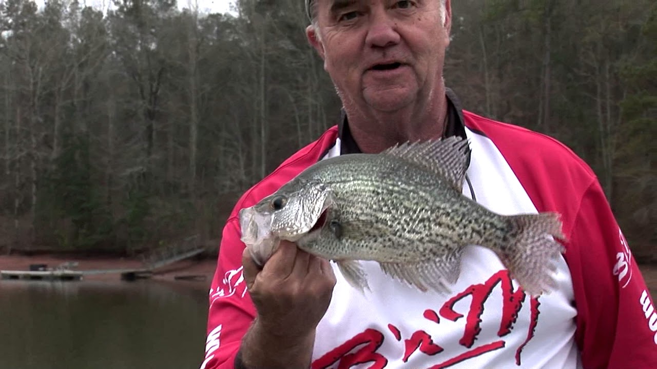 Winter Time Crappie Fishing on West Point Lake - YouTube