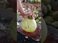 The Art of Cutting Young Coconuts Using a Sharp Machete for Very Precise Results