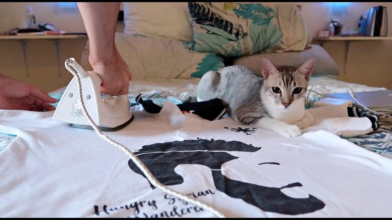 kitten lady badger "I WILL NOT MOVE" Doing Chores with a SUPERVISOR KITTEN 🤔😂