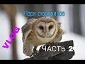 VLOG | Парк сюрпризов ЧАСТЬ 2 | Среди Бемби | Сова Борис