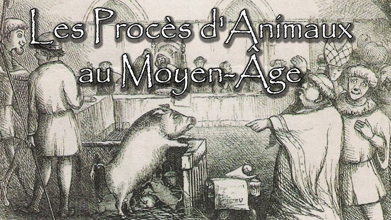 Vivre avec les animaux au Moyen Âge. main image 1