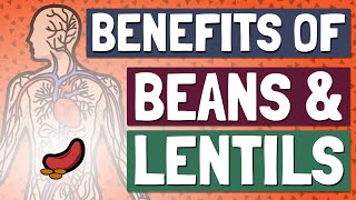 Eat Beans & Lentils Every Day for Incredible Health Benefits?!