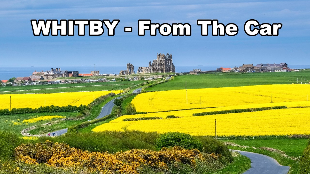 Man flu - Whitby From The Car