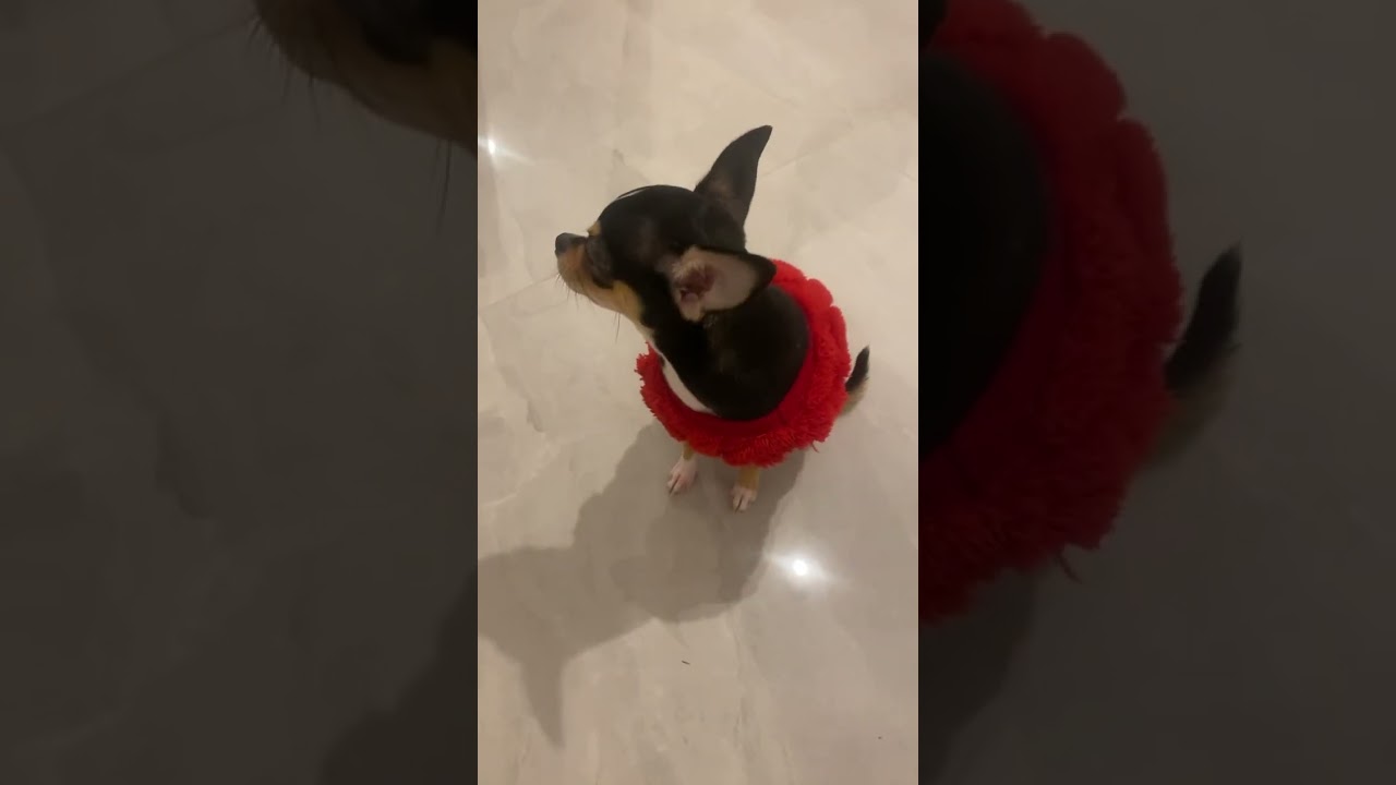 Как-то так😉,￼скоро новый стол,оцените в комментариях🫶🏻￼ 