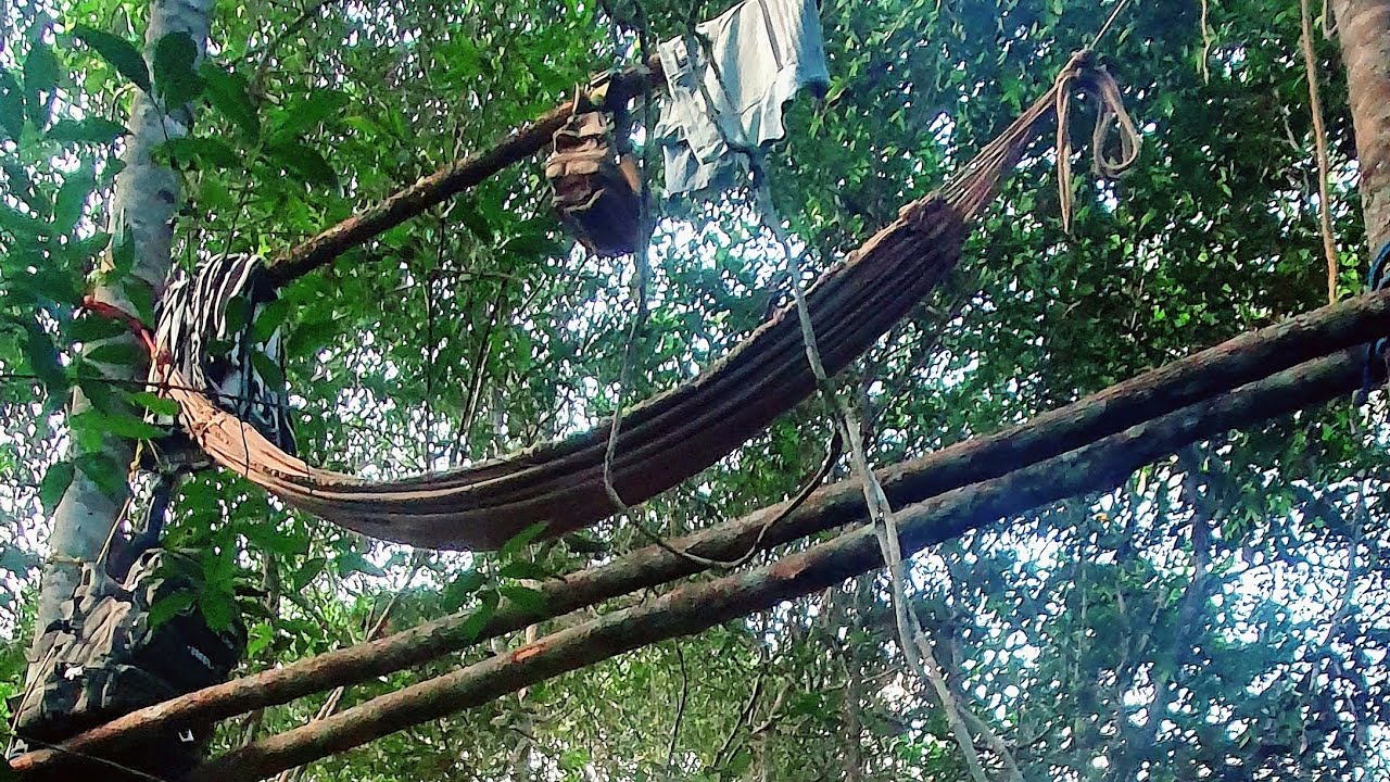 Veado Mateiro Entro Rasgando na Espera de Jambo! Pura Adrenalina, E Final de expedição Maia Selvagem