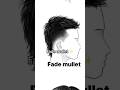 Fade mullet hair 2023hairstyled hairstyle hairstyles haircut lowfade shorts