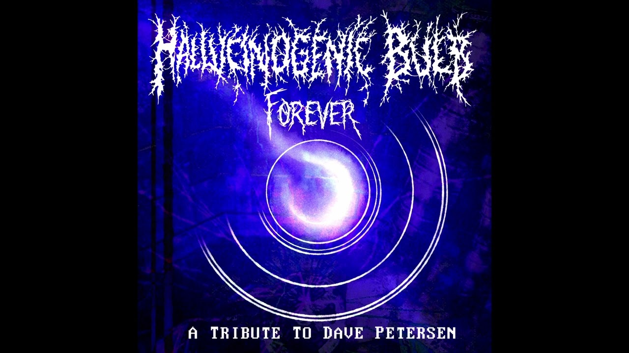 Matt Switocz & Ozymandias - "Poser" (SAND cover)