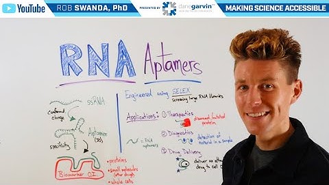What are RNA Aptamers?