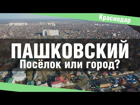 Video: Квартира үчүн иттин кайсы породасын тандаш керек