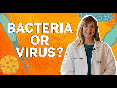 Difference Between Viral and Bacterial Infections