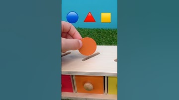 Learn Shapes and Colors! 🟥🔵⭐ Preschool Education