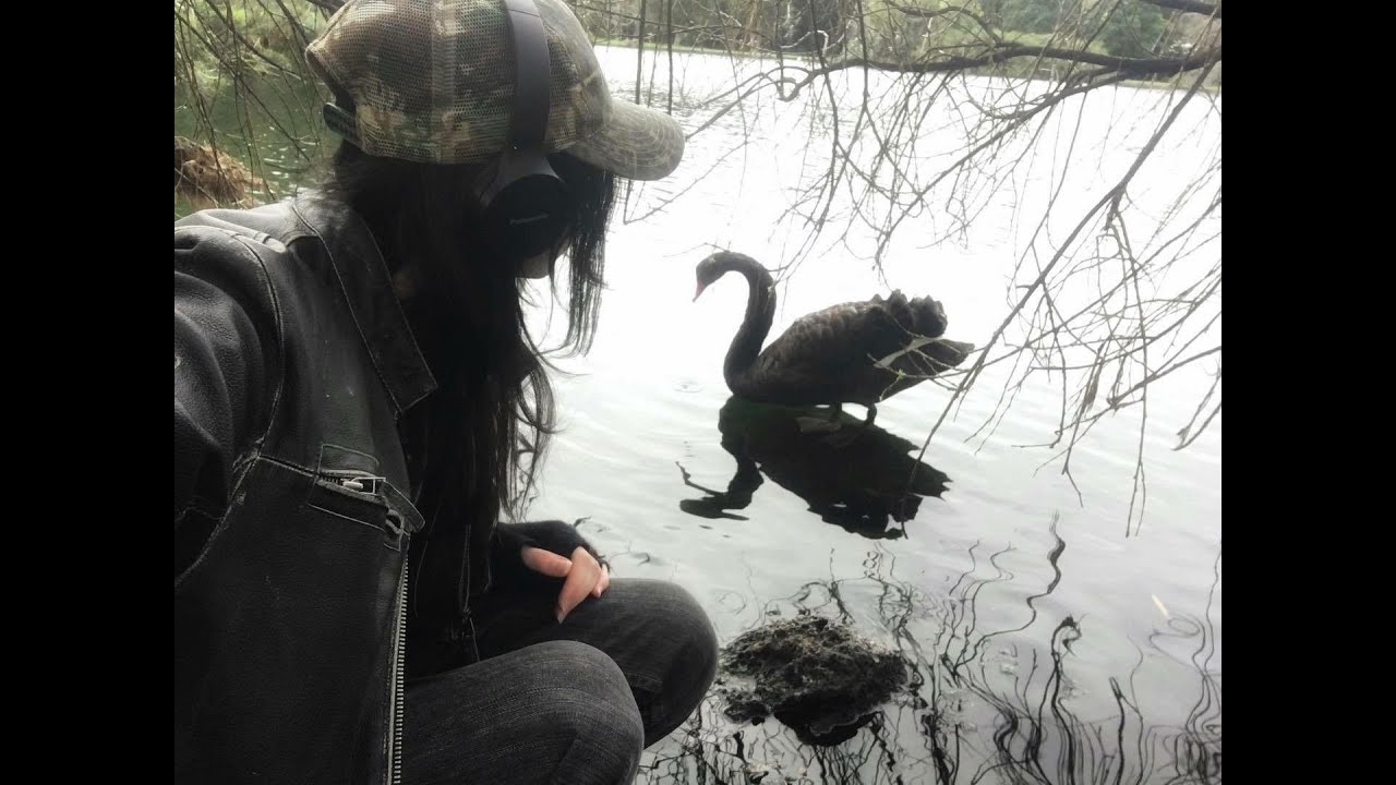 gym programim. - YouTube