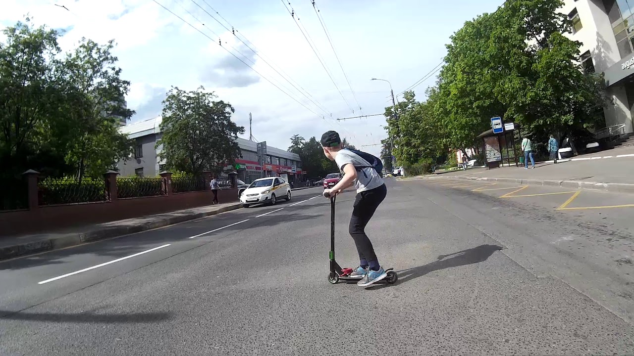 Улица Цандера прогулка с динозаврами