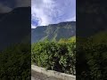 la víctima
