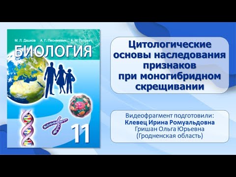 Тема 31. Цитологические основы наследования признаков при моногибридном скрещивании