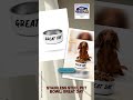 STAINLESS STEEL PET BOWL: GREAT DAY