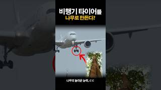 비행기 타이어를 나무로 만든다고?