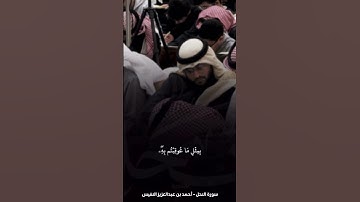 أواخر سورة النحل - أحمد النفيس #احمد_النفيس |  #قرآن #quran #اكسبلور #reels  #explore #tiktok #like