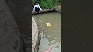 Download Lagu cikinya hannyut#trndingshorts MP3