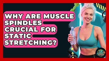 Why Are Muscle Spindles Crucial For Static Stretching? - High Energy Training Hub