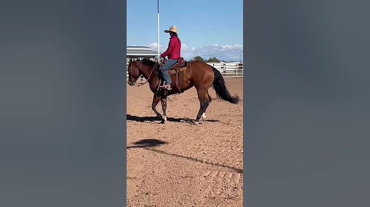 Lena the Pleasure horse in for a mind and body tun...