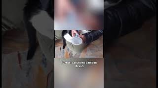 Review: Pure and Natural Pet Organic Dental Solutions Bamboo Brush - Large screenshot 5