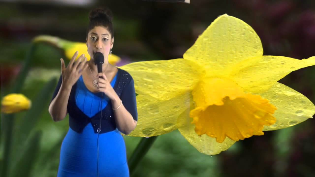 Taurus March 2014 Monthly Astrology Horoscope by Nadiya Shah