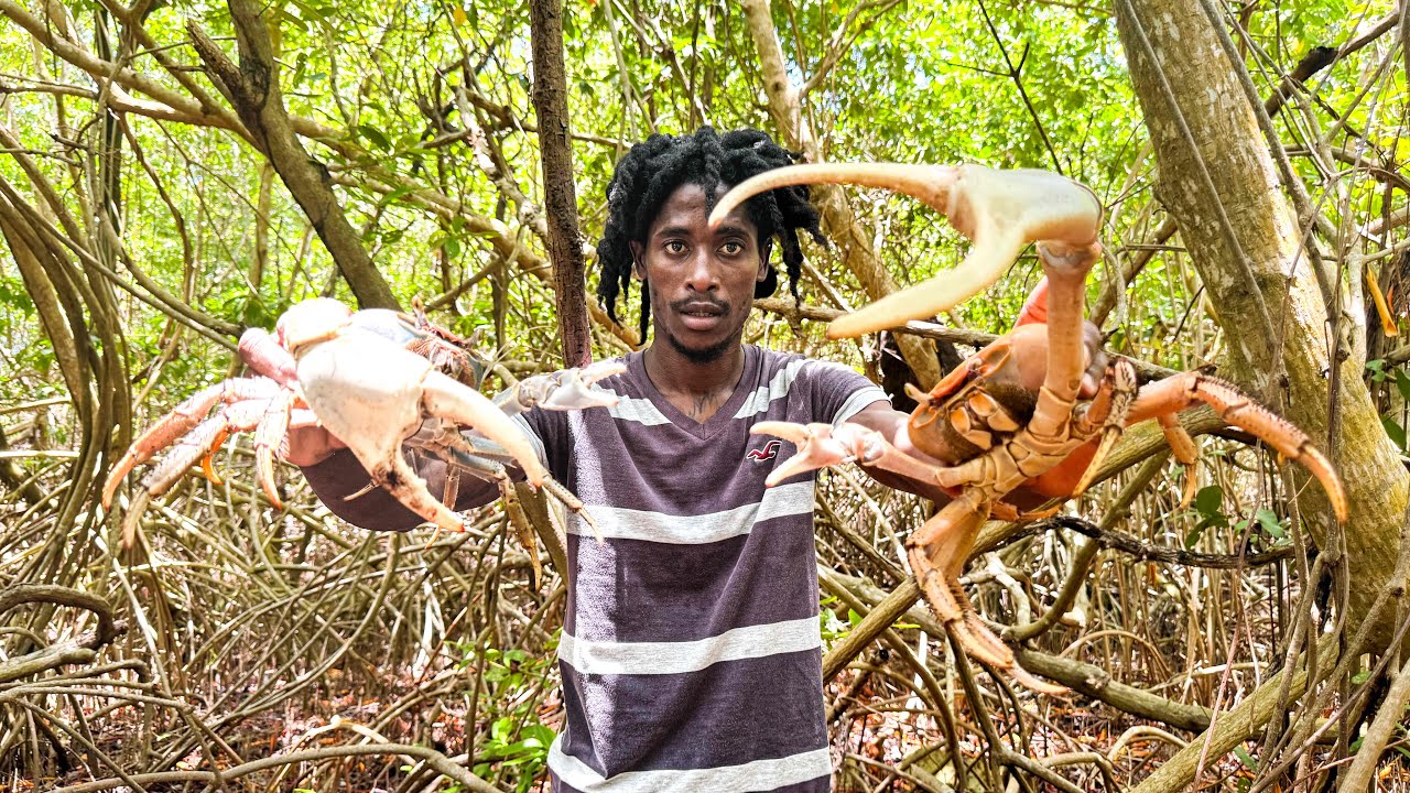 Ловля крабов голыми руками — это надо видеть.