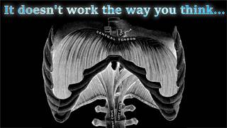 Diaphragmatic Breathing is Wrong Seriously