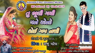 Tu Bhuli Gayi Mane Ano Koi Gam Nathi Raju Patel //New Superhit DJ timli 2019