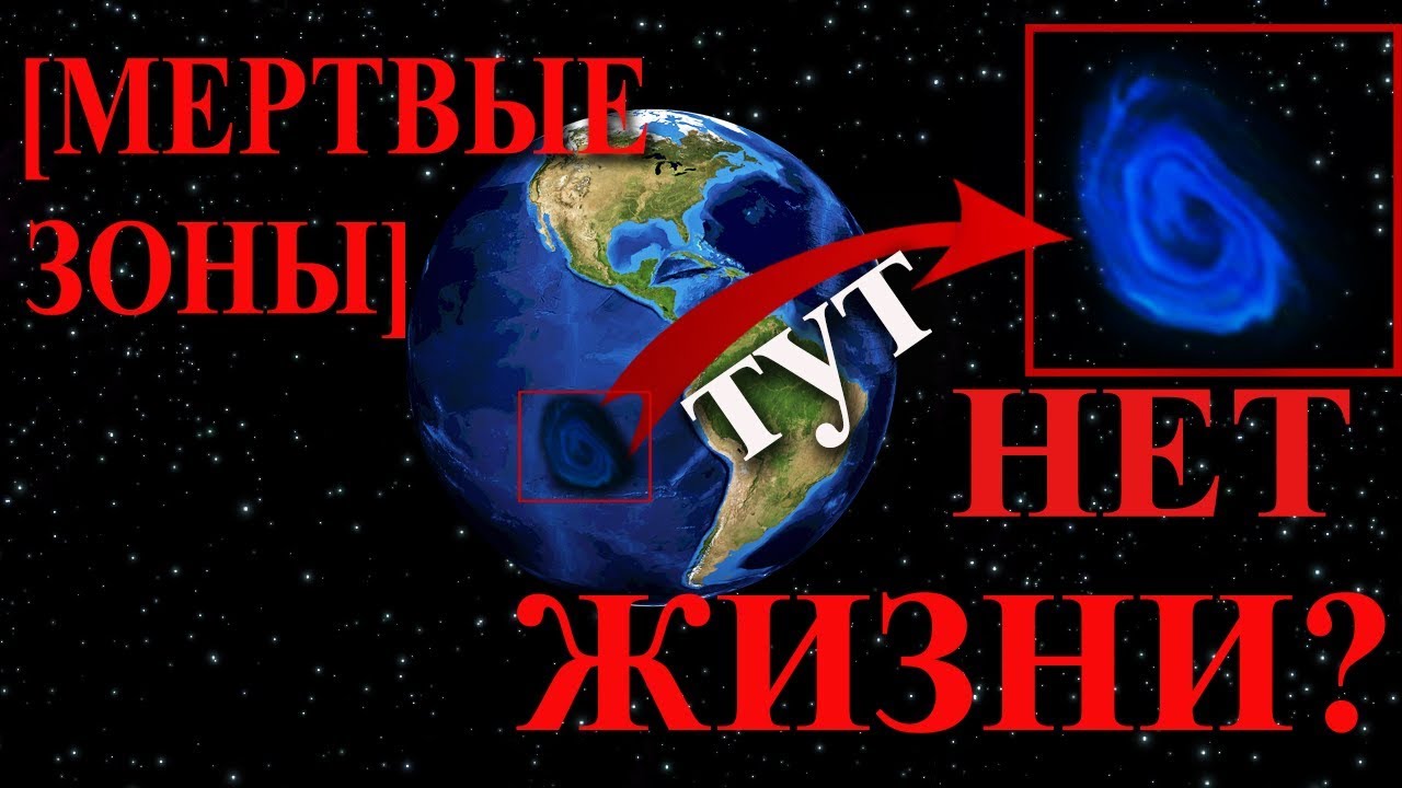 Реферат: Экологические катастрофы в мире за последние 10 лет и способы их решения. Взрыв нефтяной пла