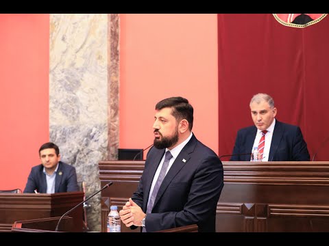 2021 წლის საქმიანობის შესახებ ანგარიშის წარდგენა