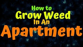 How To Grow Weed In An Apartment
