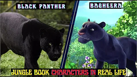 Jungle Book 3D Characters In Real Life PART 2 | REEL VS REAL LIFE