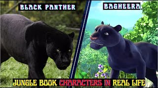 Jungle Book 3D Characters In Real Life PART 2 | REEL VS REAL LIFE