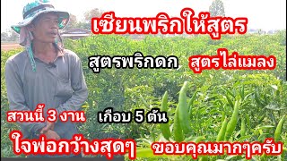 เซียนพริกเผยสูตรพริกดก สูตรทำหัวเชื้อ สูตรไล่แมลง สวนนี้คนแห่ชมไม่ขาด เจ้าของสวนใจดีไม่มีกั๊ก