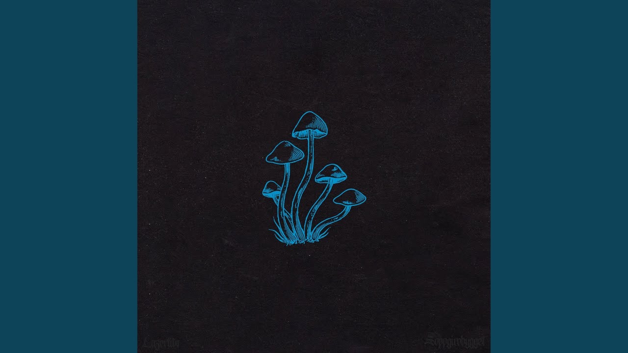 在 YouTube 上觀看「LAZERTITS」 在 YouTube 上觀看「LAZERTITS」