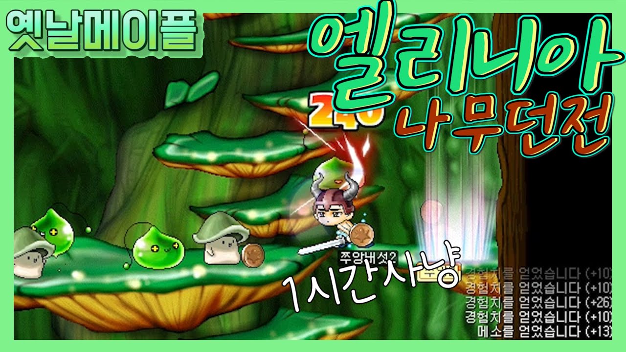 [옛날메이플] 엘리니아 나무던전2 브금에 취한다 (1시간 사냥 ASMR)