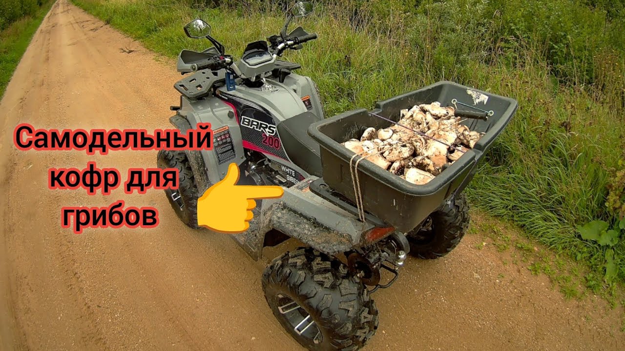 Сделал кофр для грибов на квадроцикле White Siberia Bars 200 Pro. Сбор белых осиновых груздей. 