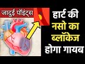 Best acupressure points for heart blockage coronary artery blockage coronary artery disease dr voll