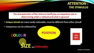 CBD21   CH 7 Customer perception and learning Part 1B