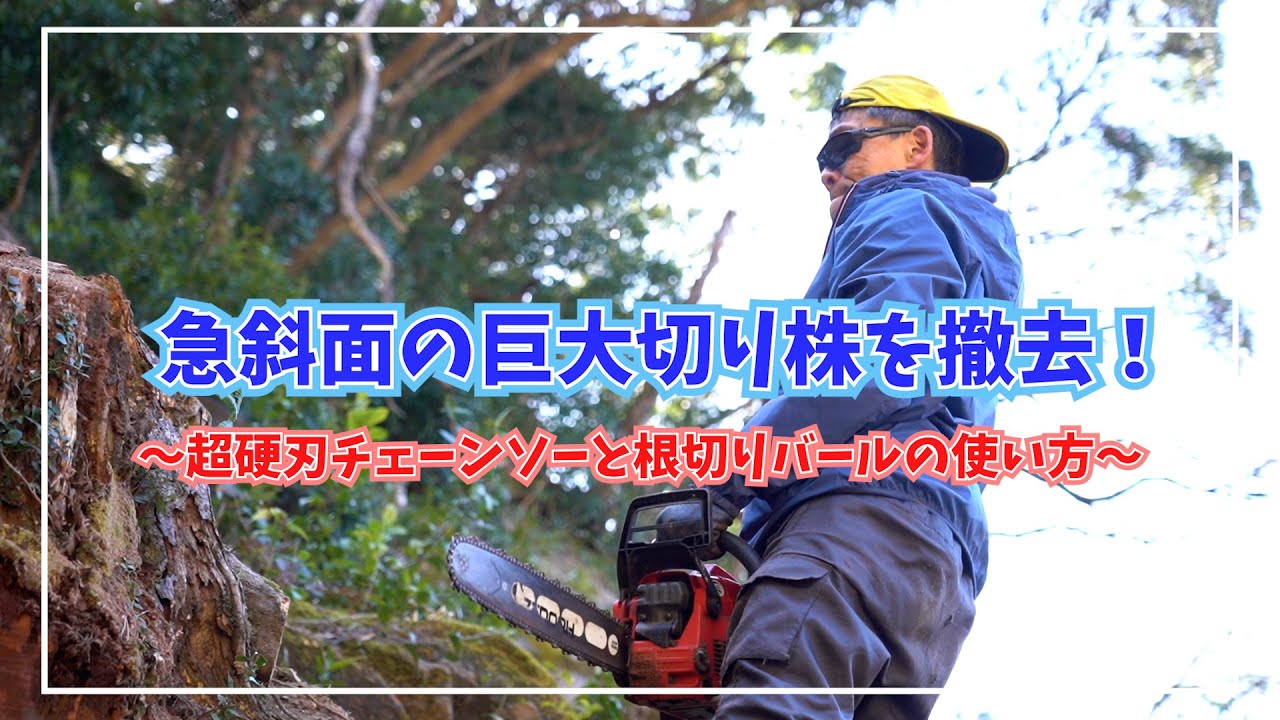 樫の木の切り株 切り株解体】硬すぎる樫の木に大苦戦！新品チェーンソーの刃が無力化
