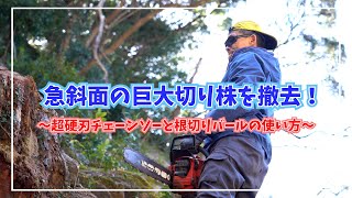 きこりっくが急斜面の巨大切り株を撤去！ - YouTube