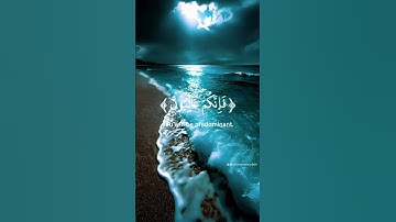 #قرآن #قران_كريم #المصحف #سيد_سعيد #السعودية #ياسر_الدوسري #تلاوة_خاشعة