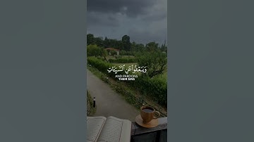 و هو الذي يقبل التوبة عن عباده #القرآن الكريم #quran #راحة نفسية #تلاوات #آيات #تجويد