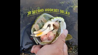 30 second hookset delay on a pike screenshot 2