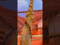 me in canyons (Rare) #gorillatag  #gtag #tag #fun #vr