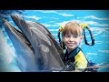 Dolphins 🐬 Smart, Beautiful, Funny Dolphins! [Funny Pets]